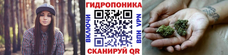 купить   Зеленодольск  Канабис Ganja 